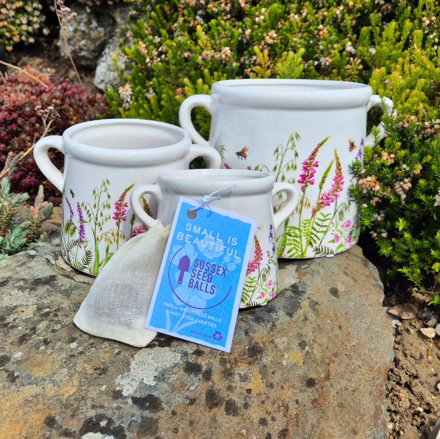 Ceramic Planter Seed Ball Gift Kit