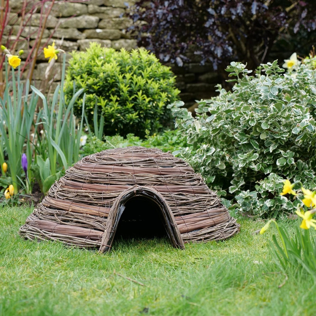 Hedgehog Dome Home  FREE SNACK BOWL WITH EVERY PURCHASE
