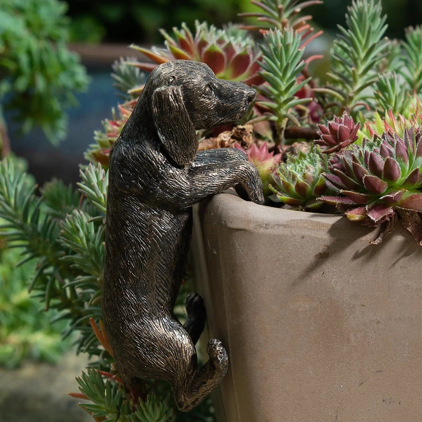 Dachshund Plant Pot Hanger