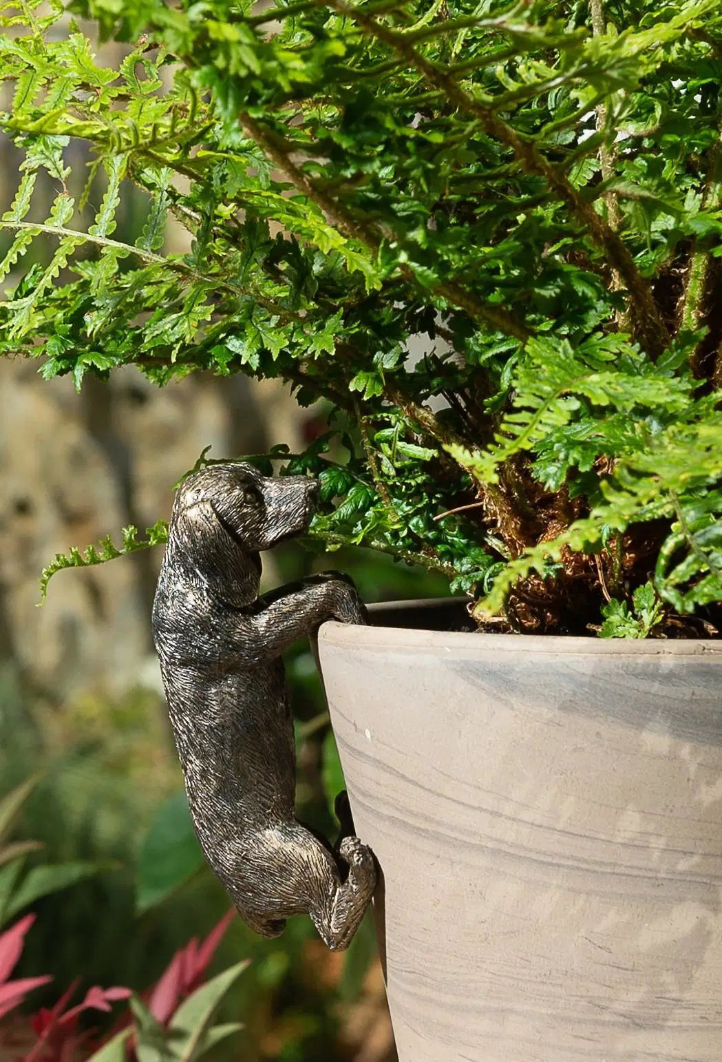 Dachshund Plant Pot Hanger
