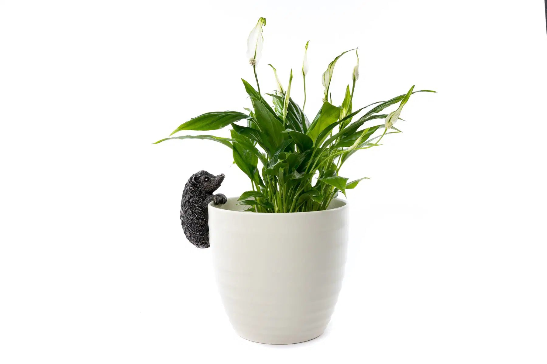 Hedgehog Plant Pot Buddy