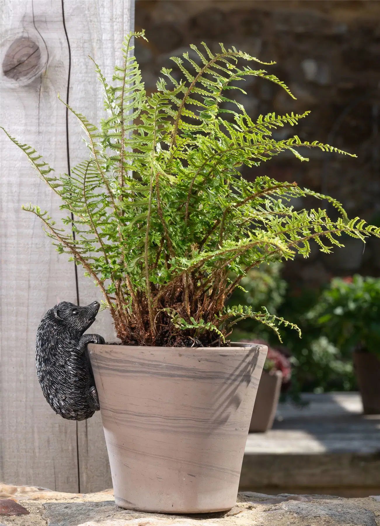 Hedgehog Plant Pot Buddy