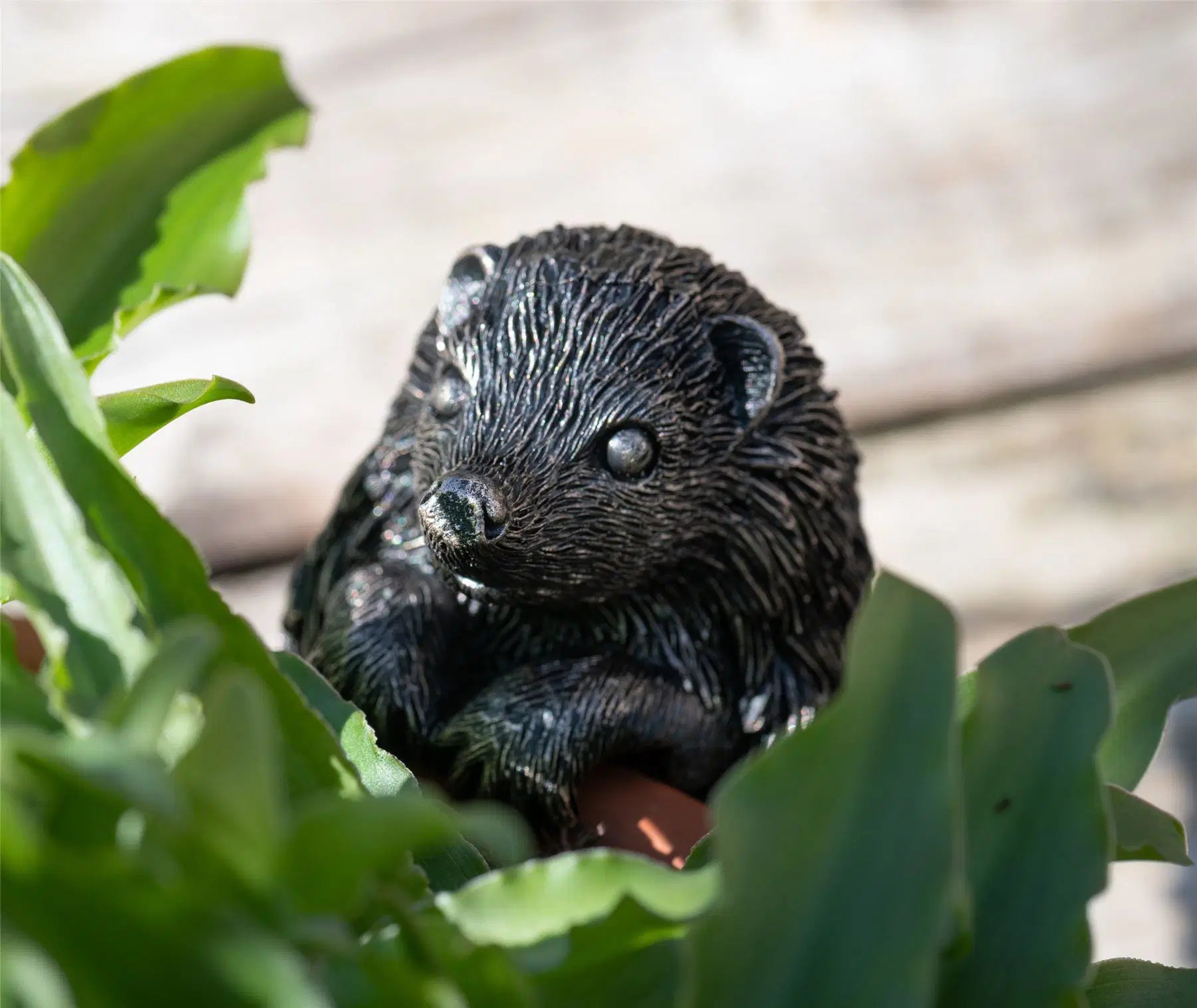 Hedgehog Plant Pot Buddy