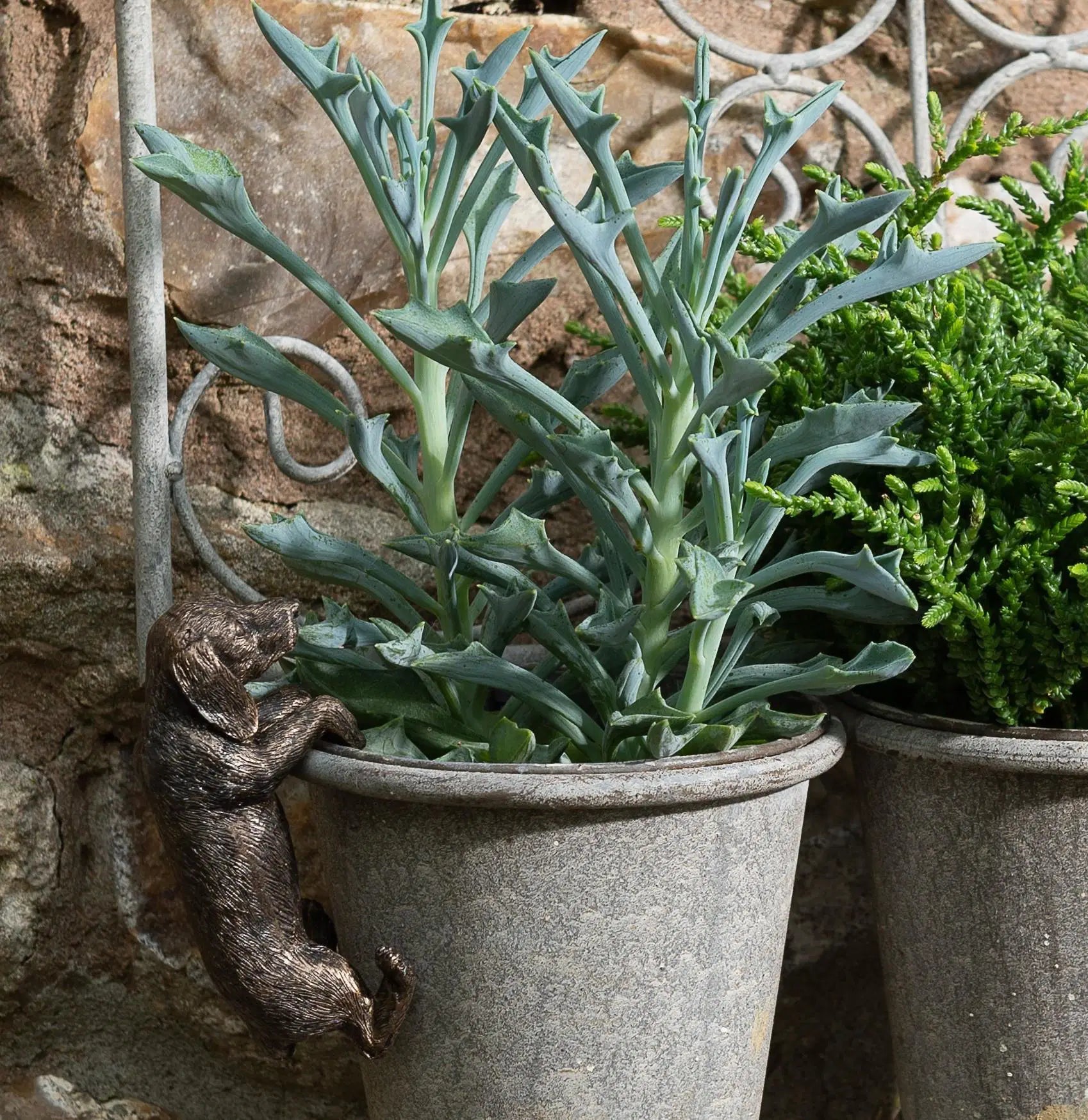 Dachshund Plant Pot Hanger