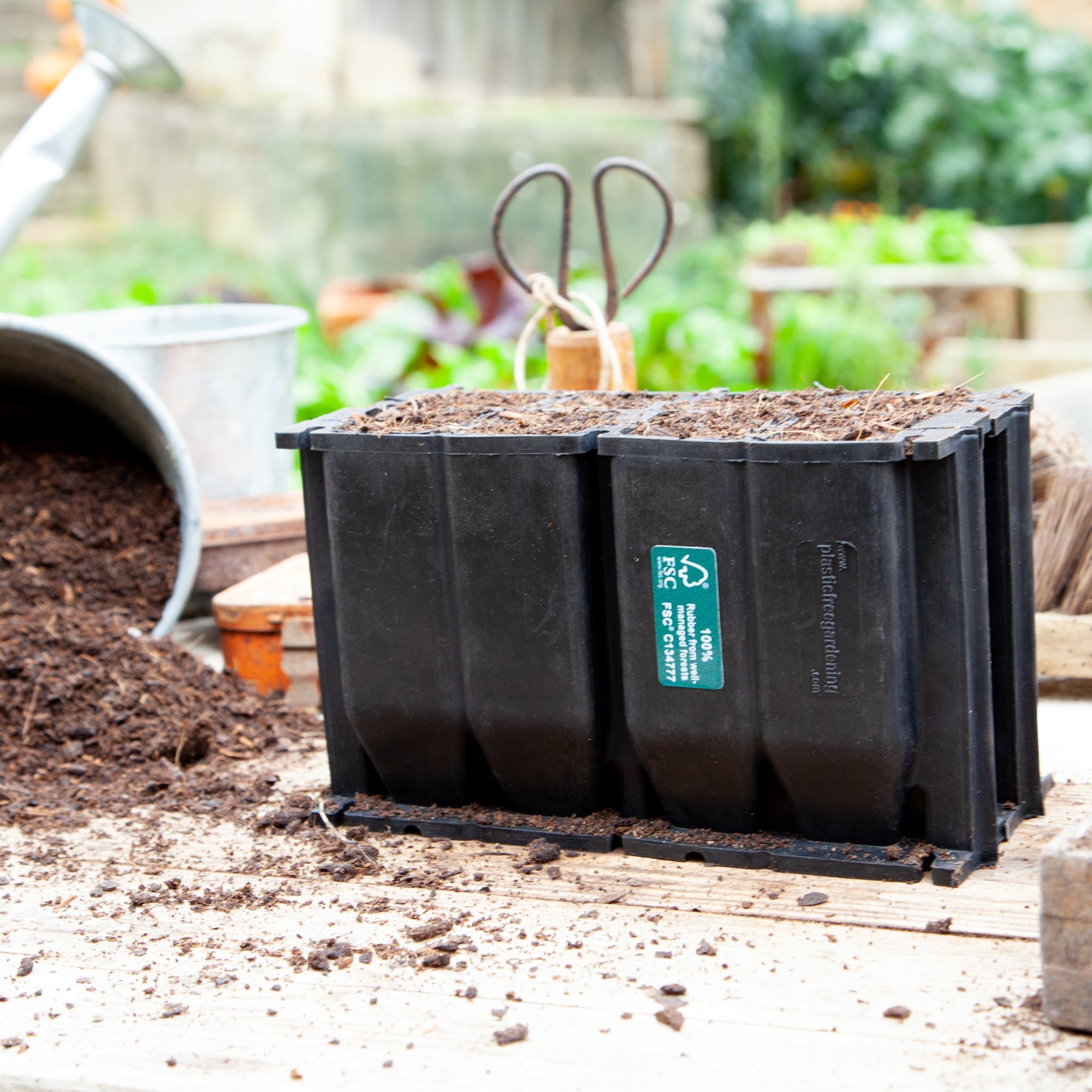 8 Cell Natural Rubber RootCoach™