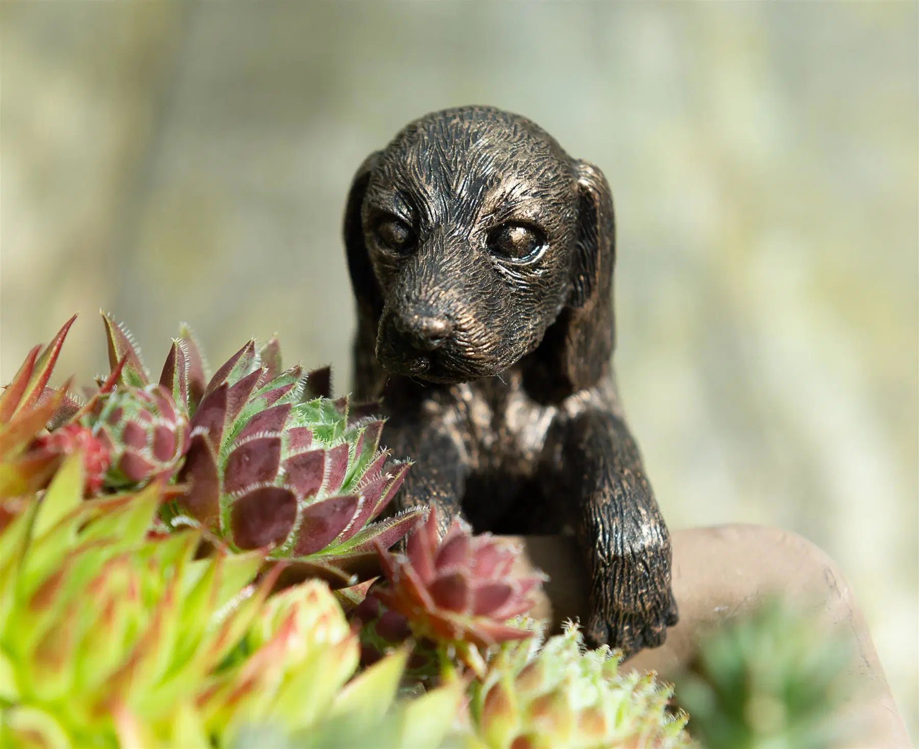 Dachshund Plant Pot Hanger