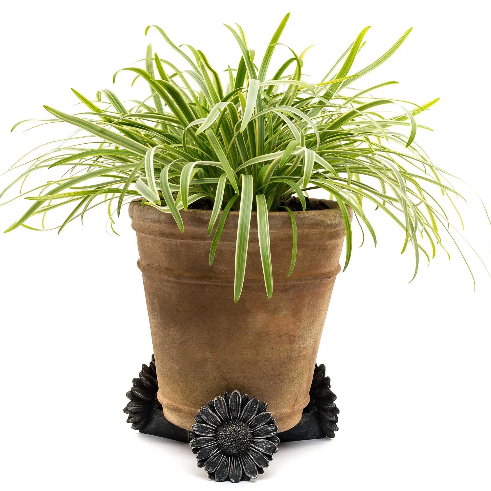 Daisy Plant Pot Feet – Set of 3