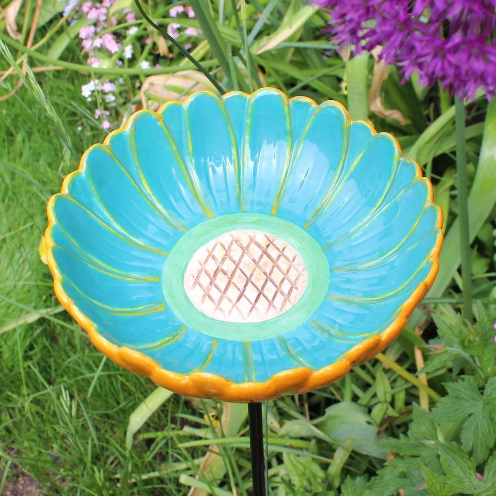 African Daisy Bird Drinker - Seconds Stock
