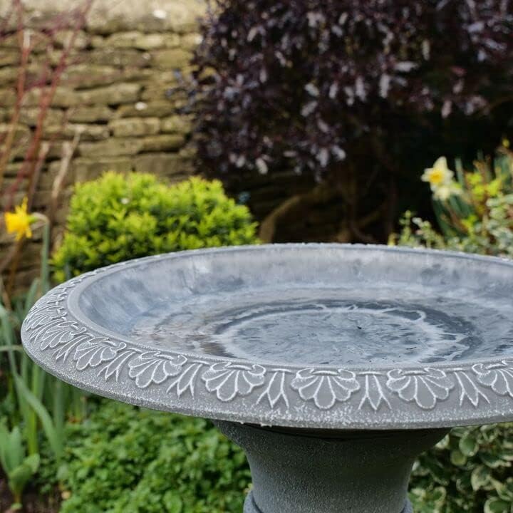 Cameo Bird Bath With Tall Stem