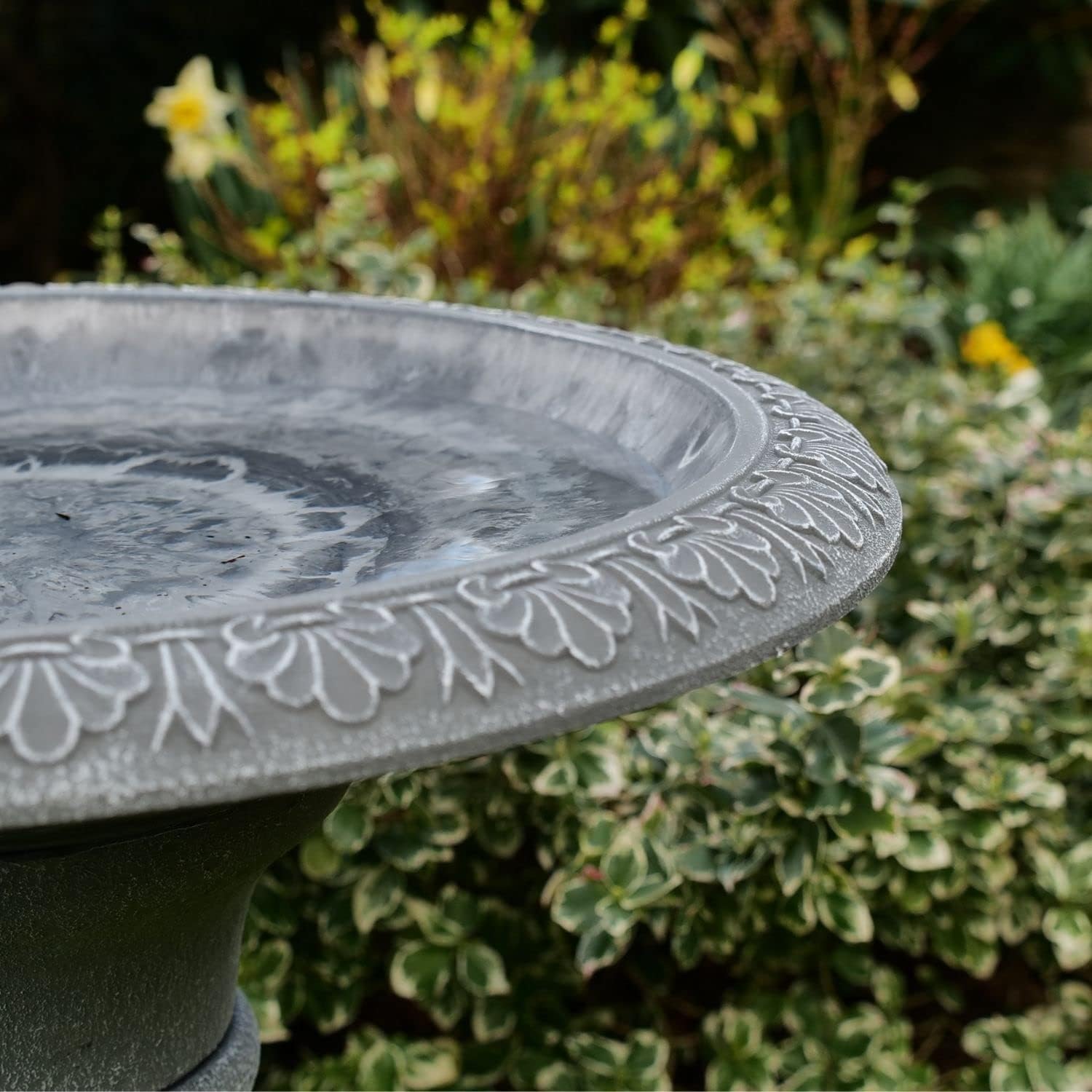 Cameo Bird Bath With Tall Stem