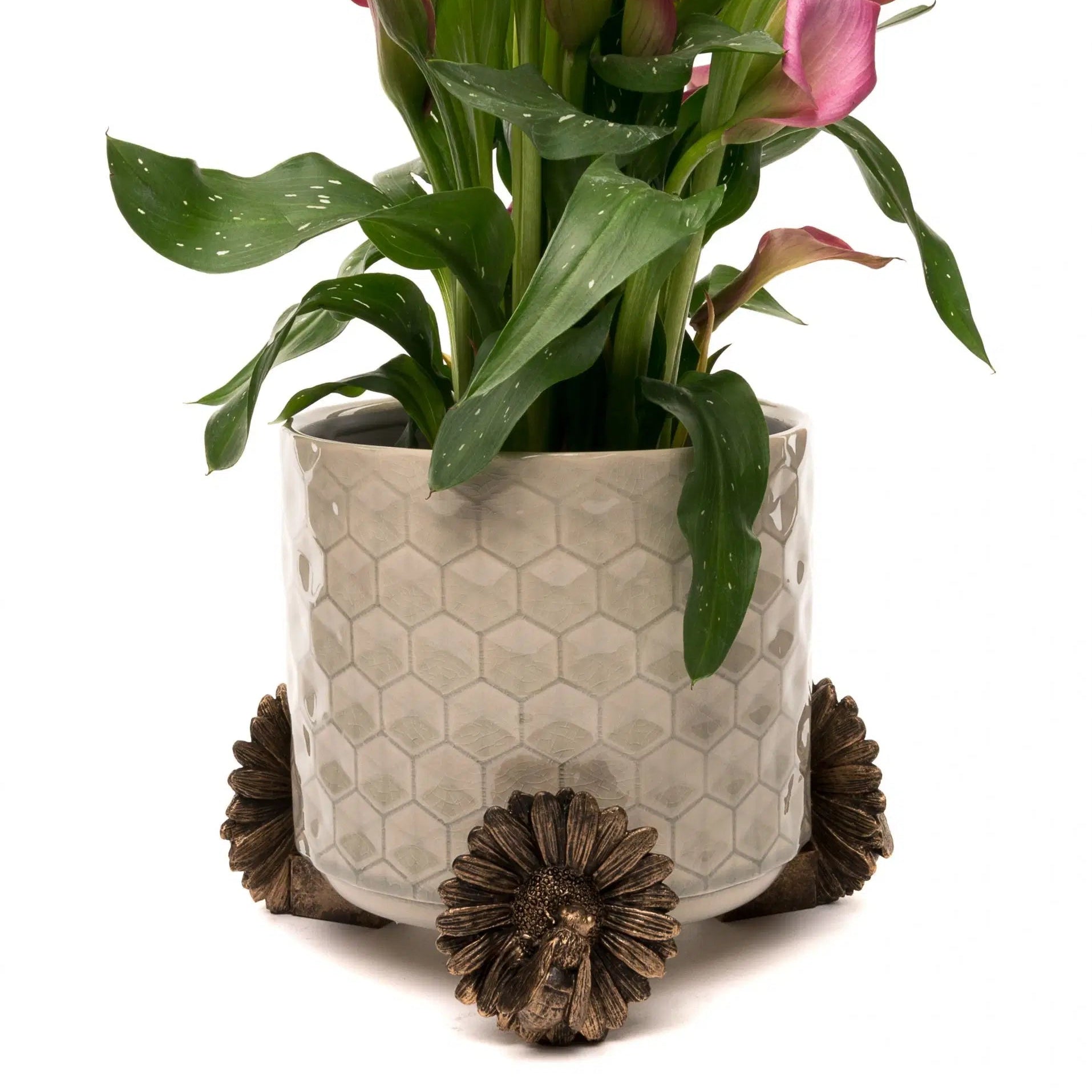 Bee Plant Pot Feet – Set of 3