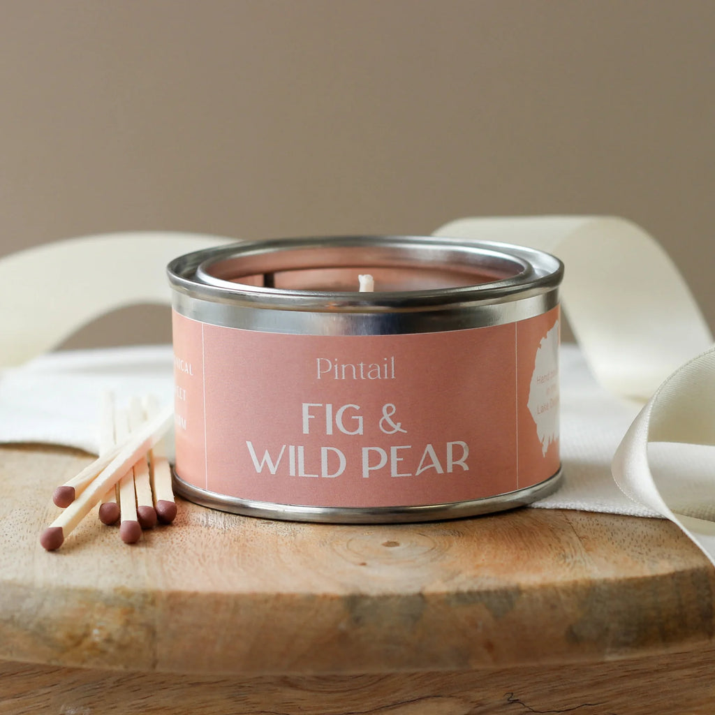 Candle by Pintail - Fig & Wild Pear Paint Pot