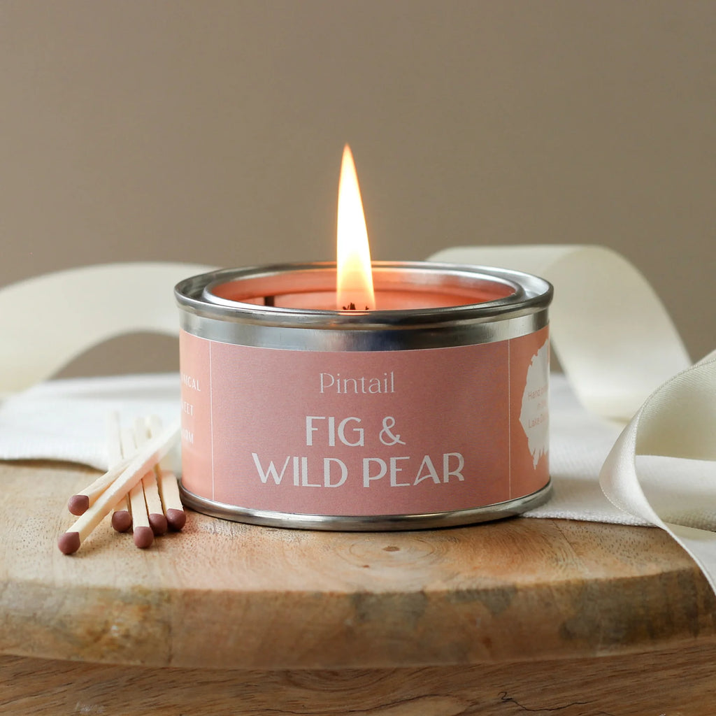Candle by Pintail - Fig & Wild Pear Paint Pot