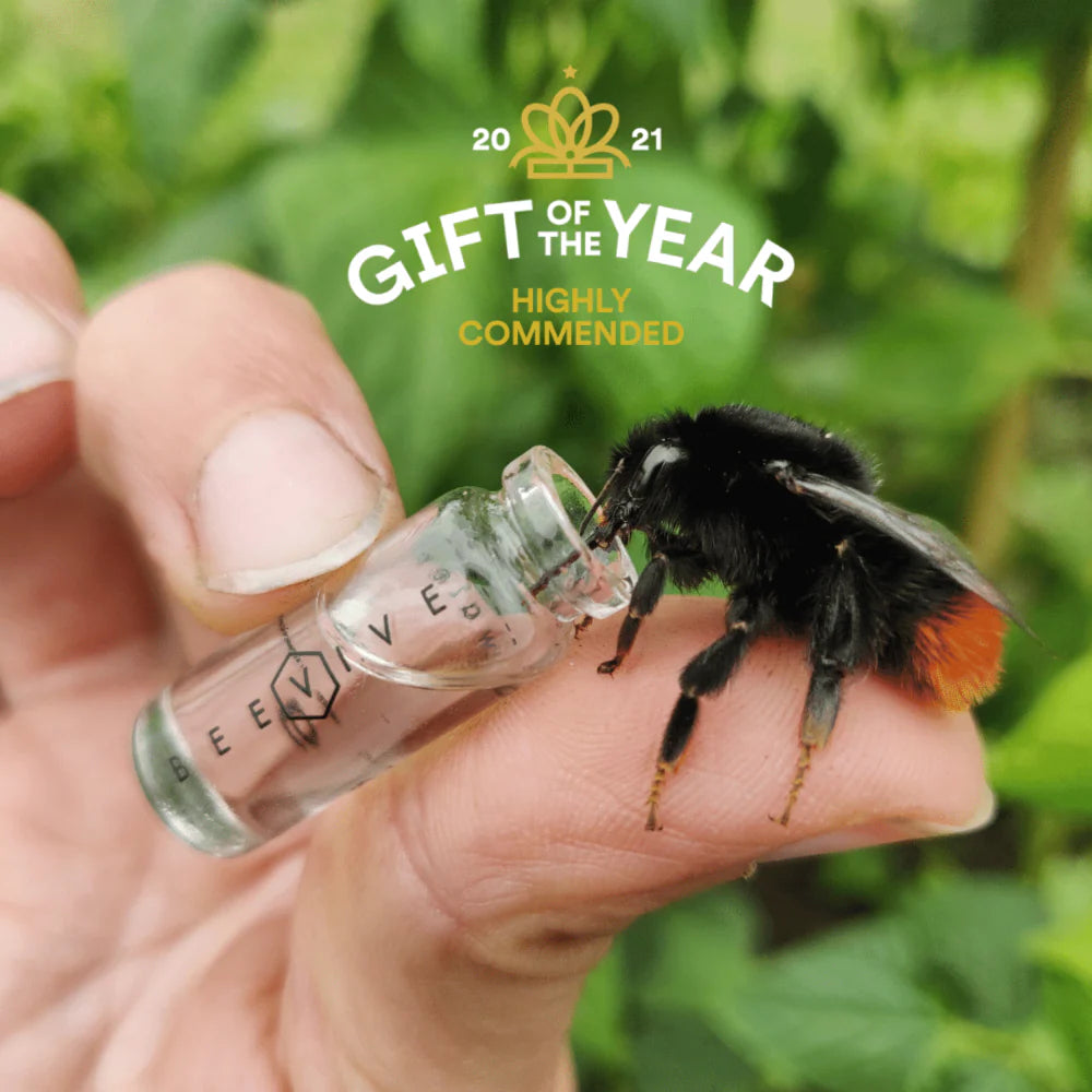 Bee Revival Kit - The original Kit -  2 colour Options available