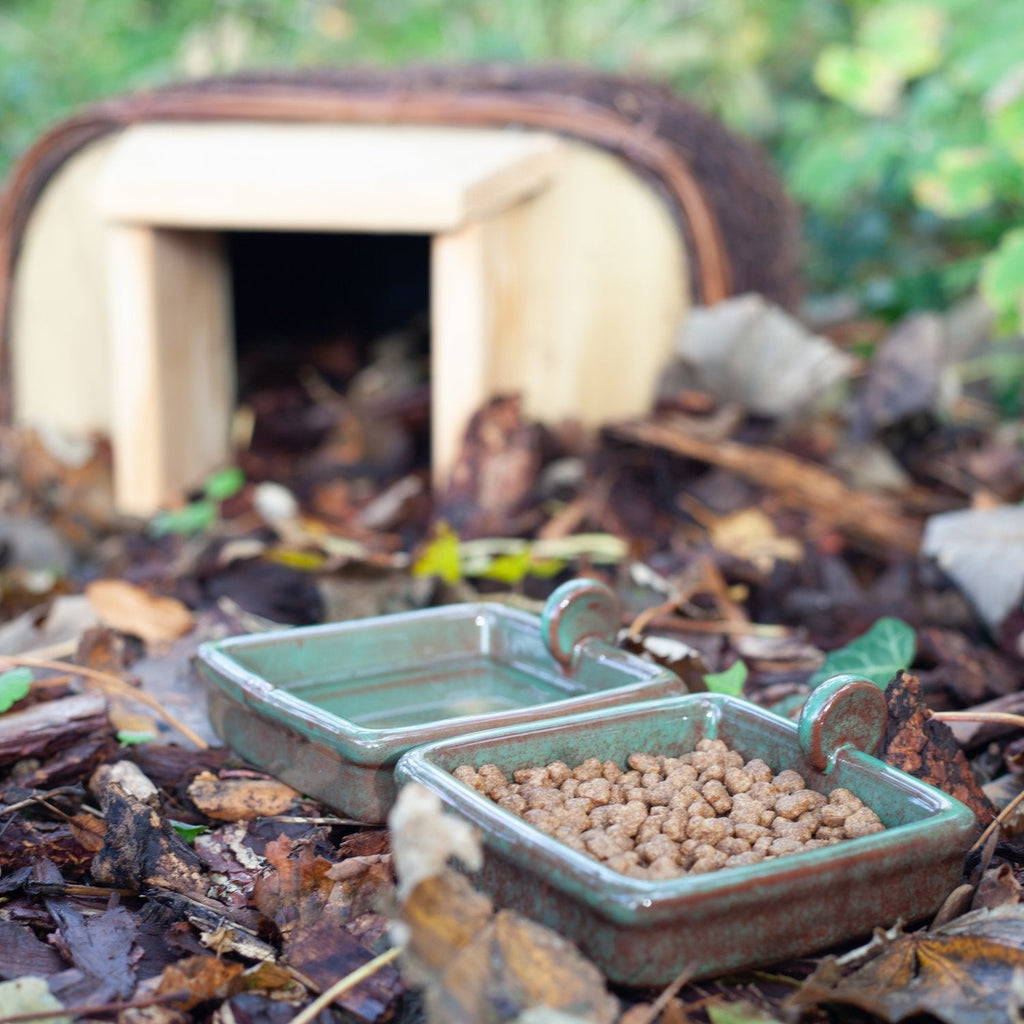 Wildlife World Hedgehog Snack Bowl
