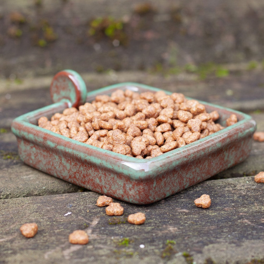 Hedgehog food in Hedgehog Snack Bowl