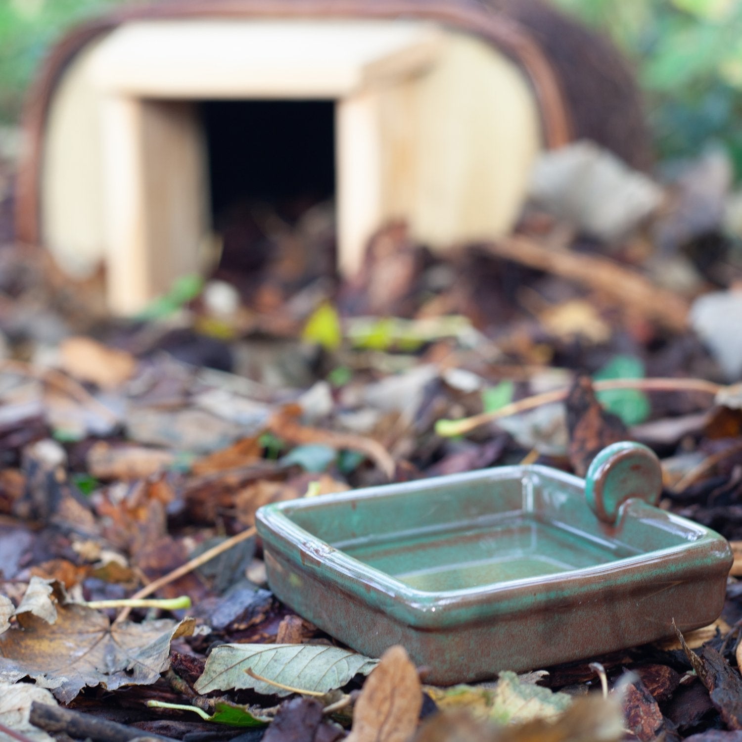 Hedgehog Snack & Water Bowl Set