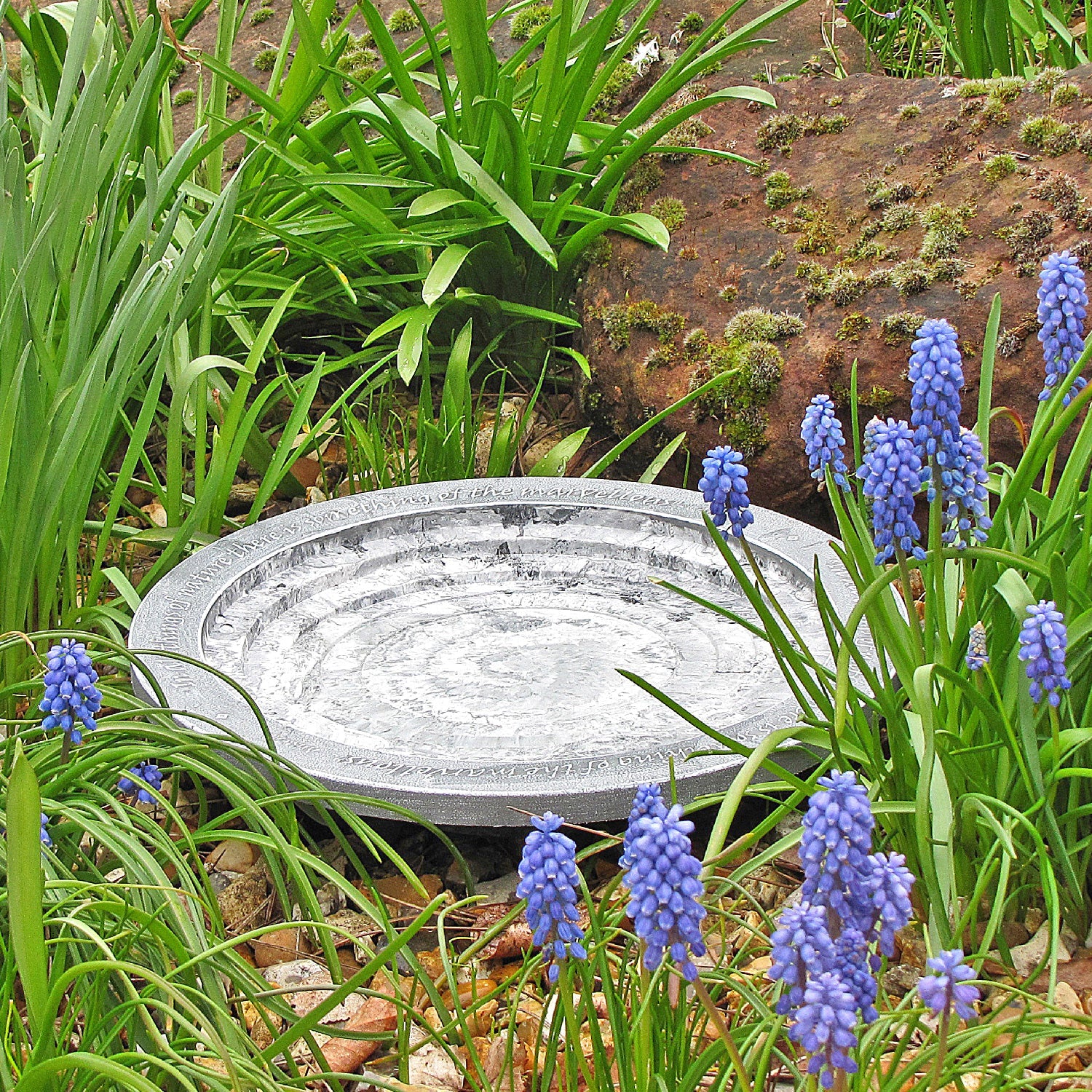 Aristotle Oasis Bird Bath & Drinker