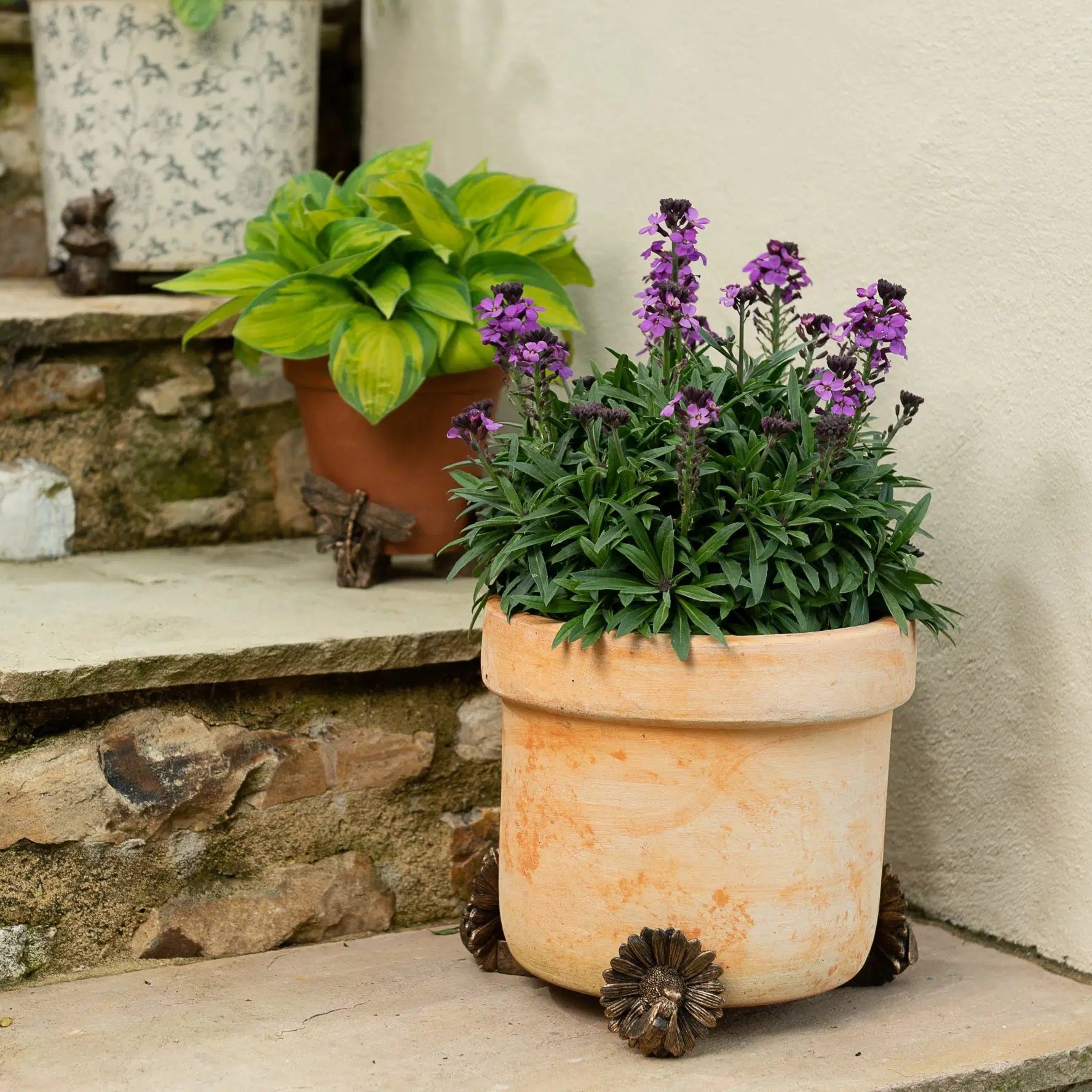 Bee Plant pot feet 
