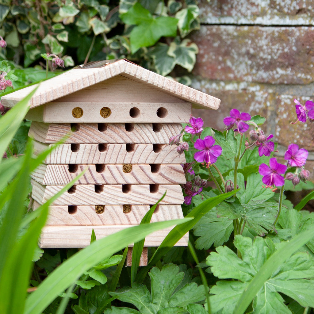 Solitary Bee Hive With Bee Tube Brush