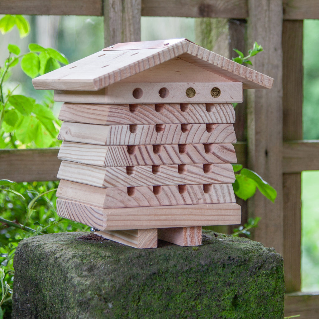 Solitary Bee Hive With Bee Tube Brush
