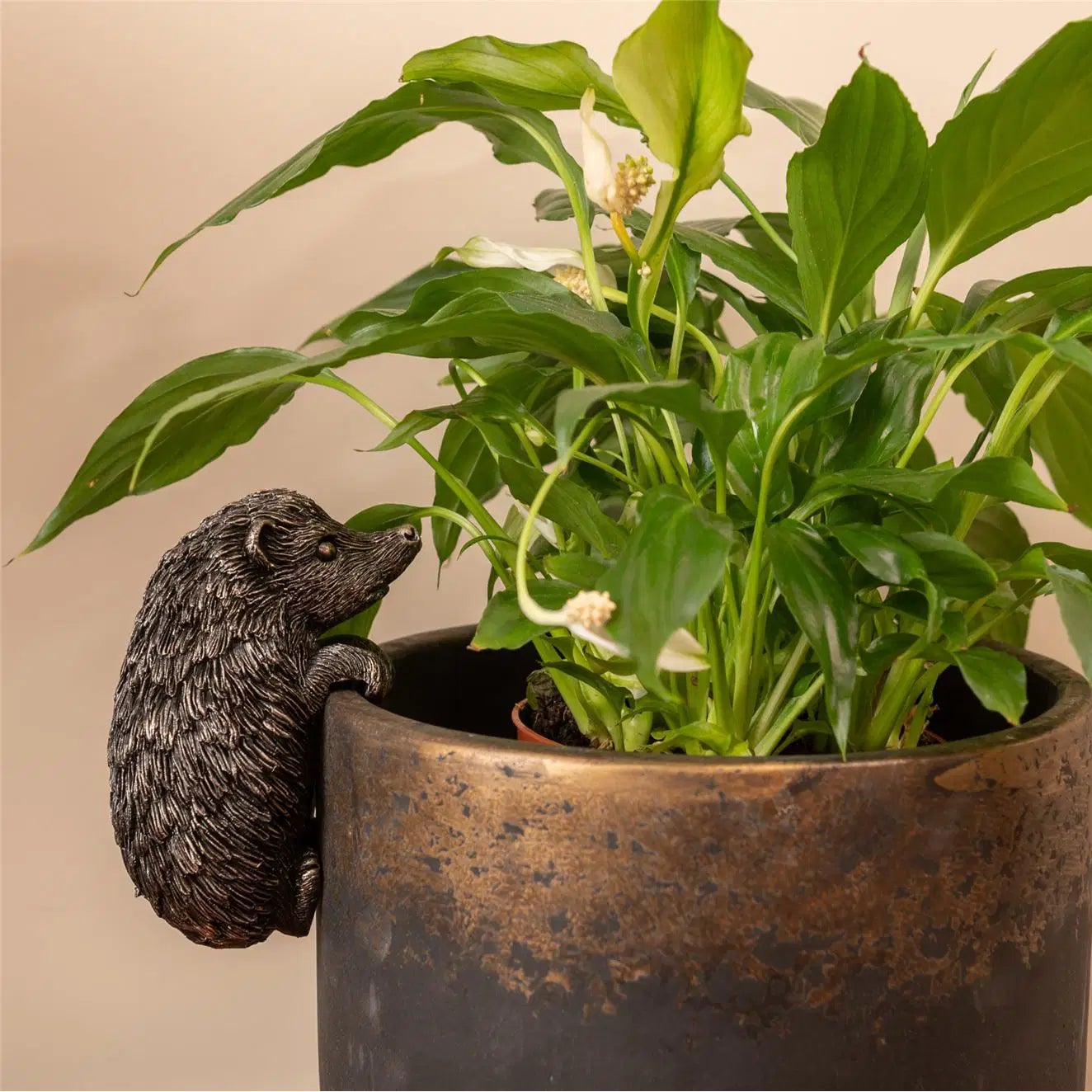 Hedgehog Plant Pot Buddy