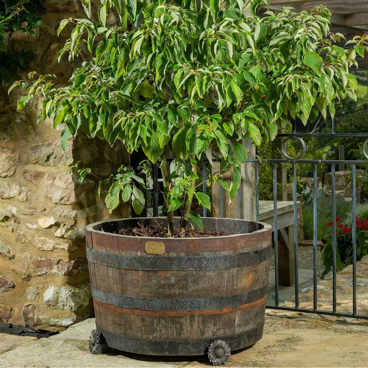 Daisy Plant Pot Feet – Set of 3