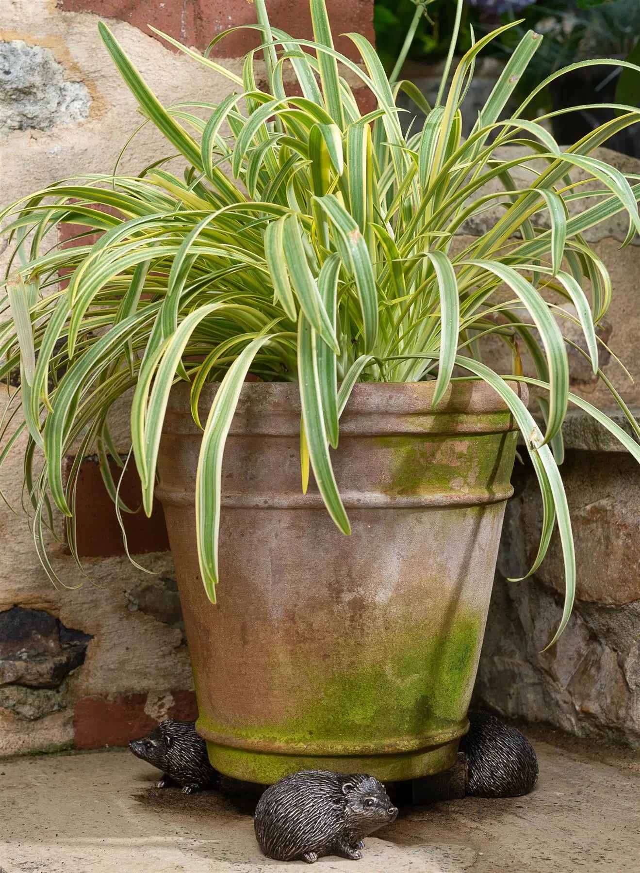 Hedgehog Plant Pot Feet – Set of 3