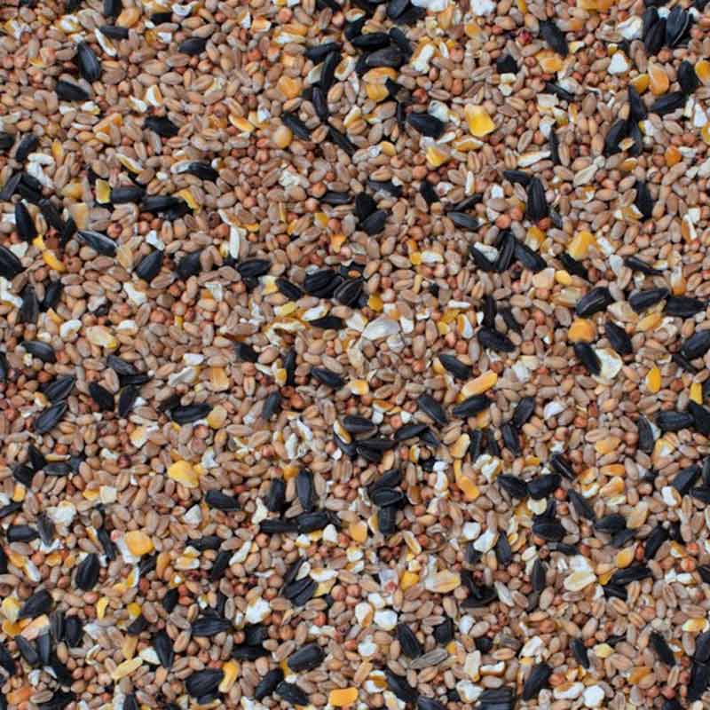 2 kg bag - Henry Bell Superior Bird  Seed Mix
