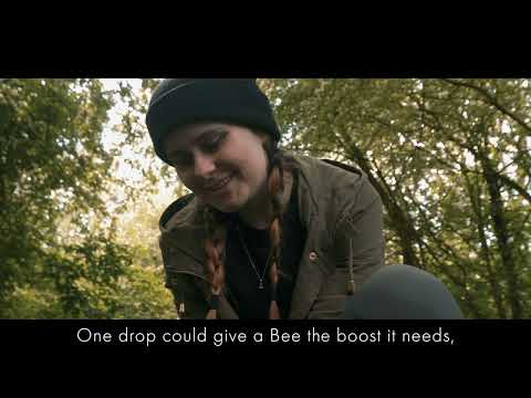 Bee Revival Kit - The original Kit -  2 colour Options available